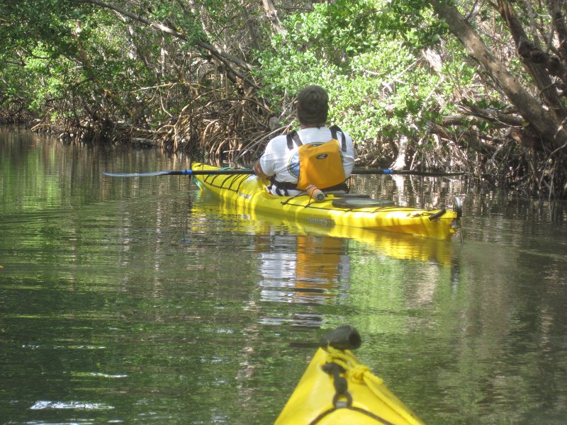 Captiva041813-4895.jpg - Kayaking Around Buck Key -- Day 2.  We went through the mangrove trails, twice.
