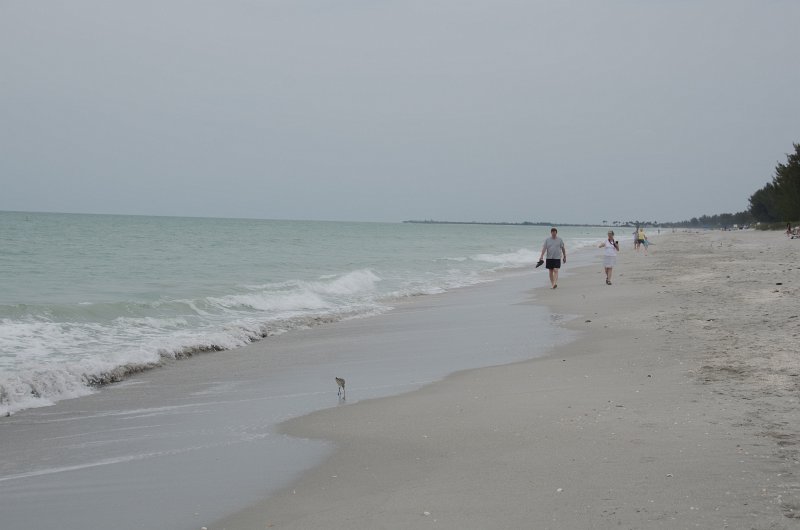 Captiva041813-6406.jpg - Captiva beach next to Mucky Duck