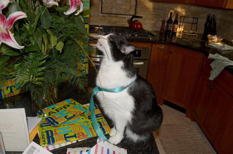 CathieBirthday070113-7521.jpg - Cathie Birthday Presents