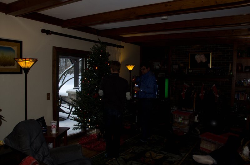 Christmas2013-9712.jpg - Decorating the Christmas Tree