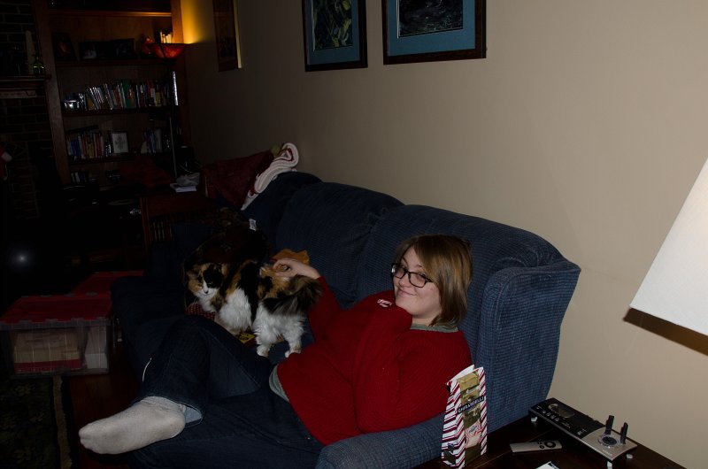 Christmas2013-9713.jpg - Decorating the Christmas Tree