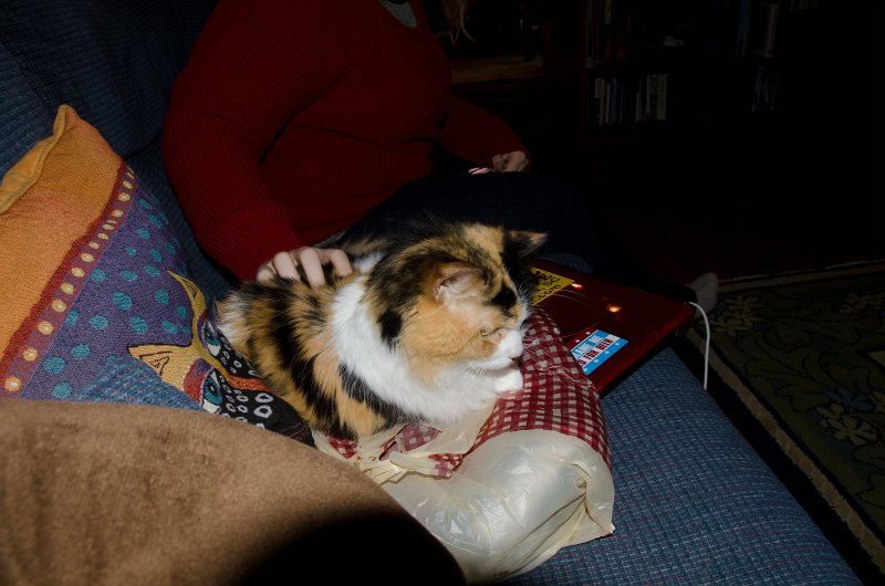 Christmas2013-9714.jpg - Decorating the Christmas Tree