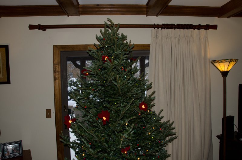 Christmas2013-9716.jpg - Decorating the Christmas Tree