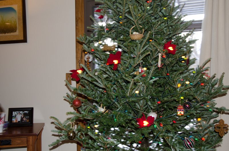 Christmas2013-9726.jpg - Decorating the Christmas Tree