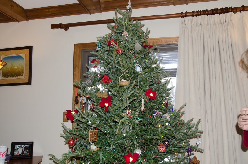 Christmas2013-9729.jpg - Decorating the Christmas Tree