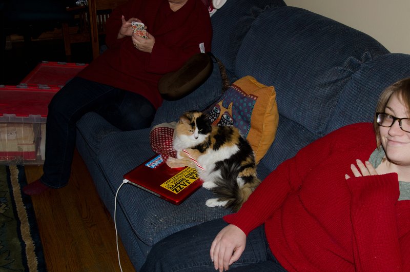 Christmas2013-9719.jpg - Decorating the Christmas Tree
