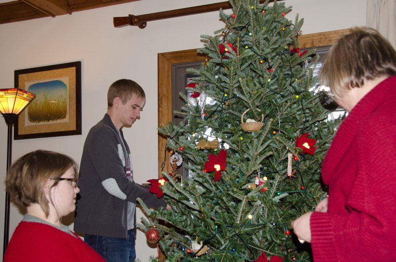 Christmas2013-9725.jpg - Decorating the Christmas Tree