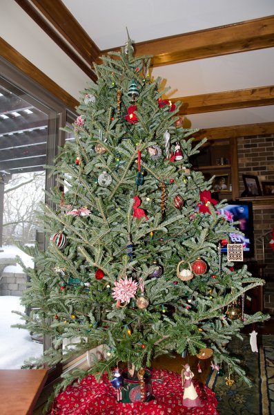 Christmas2013-9735.jpg - Decorating the Christmas Tree