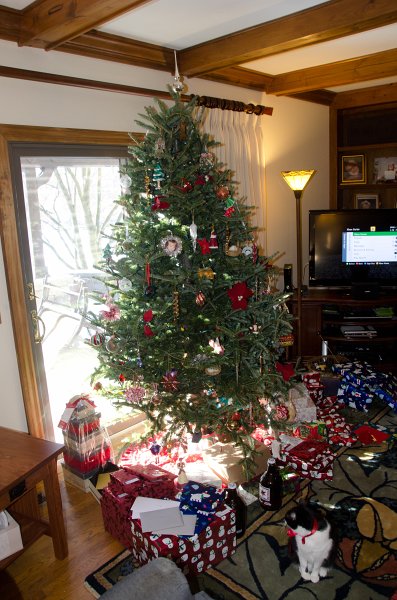 ChristmasEve122413-9822.jpg - Christmas Eve before going to Grandma and Grandpa's