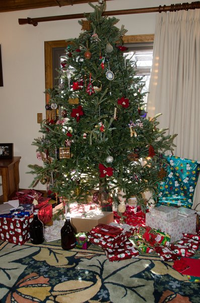 ChristmasEve122413-9826.jpg - Christmas Eve before going to Grandma and Grandpa's