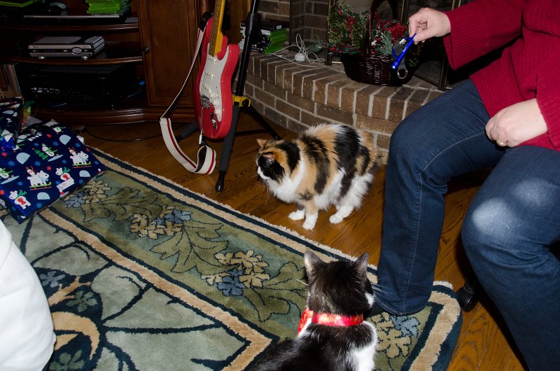 ChristmasEve122413-9829.jpg - Christmas Eve before going to Grandma and Grandpa's