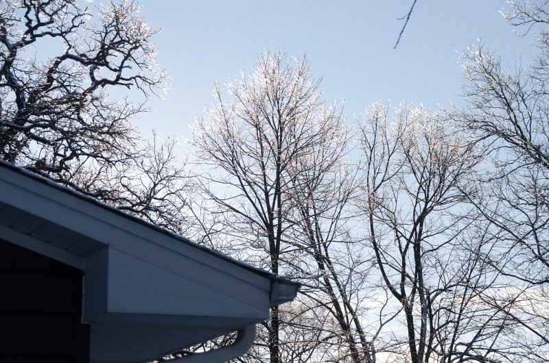 ChristmasEve122413-9850.jpg - Beautiful snow and ice pictures around Mom and Dad's house on Crhistmas Eve