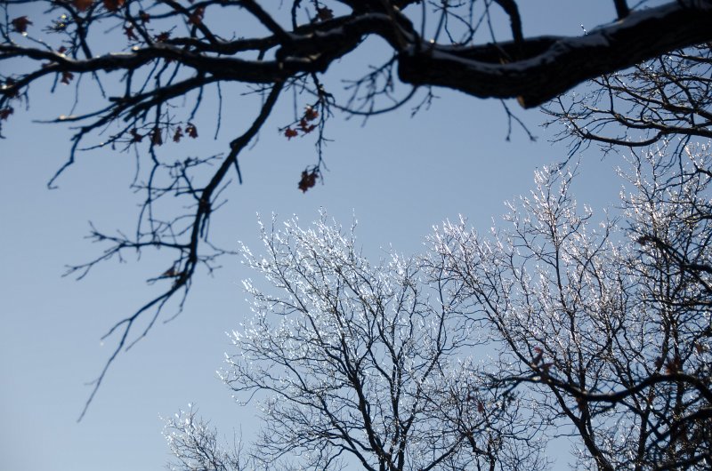 ChristmasEve122413-9854.jpg - Beautiful snow and ice pictures around Mom and Dad's house on Crhistmas Eve