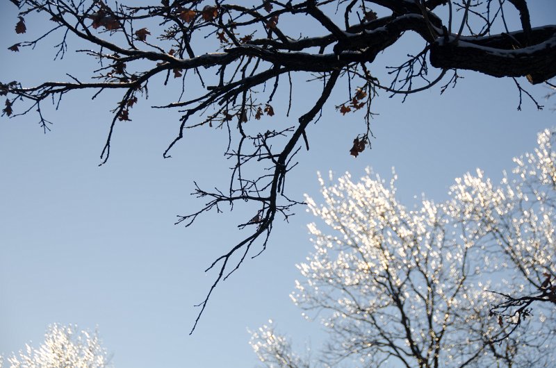 ChristmasEve122413-9855.jpg - Beautiful snow and ice pictures around Mom and Dad's house on Crhistmas Eve