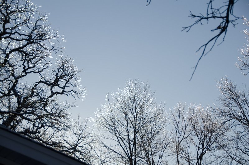 ChristmasEve122413-9856.jpg - Beautiful snow and ice pictures around Mom and Dad's house on Crhistmas Eve