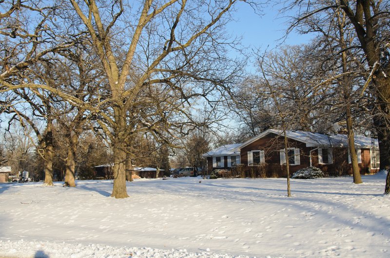 ChristmasEve122413-9870.jpg - Beautiful snow and ice pictures around Mom and Dad's house on Crhistmas Eve