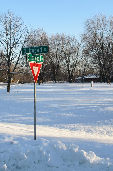 ChristmasEve122413-9874.jpg - Beautiful snow and ice pictures around Mom and Dad's house on Crhistmas Eve
