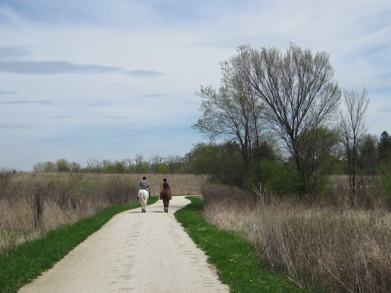Danada050413-5136.jpg - Horses. Bike Danada Forest Preserve around Herrick Lake