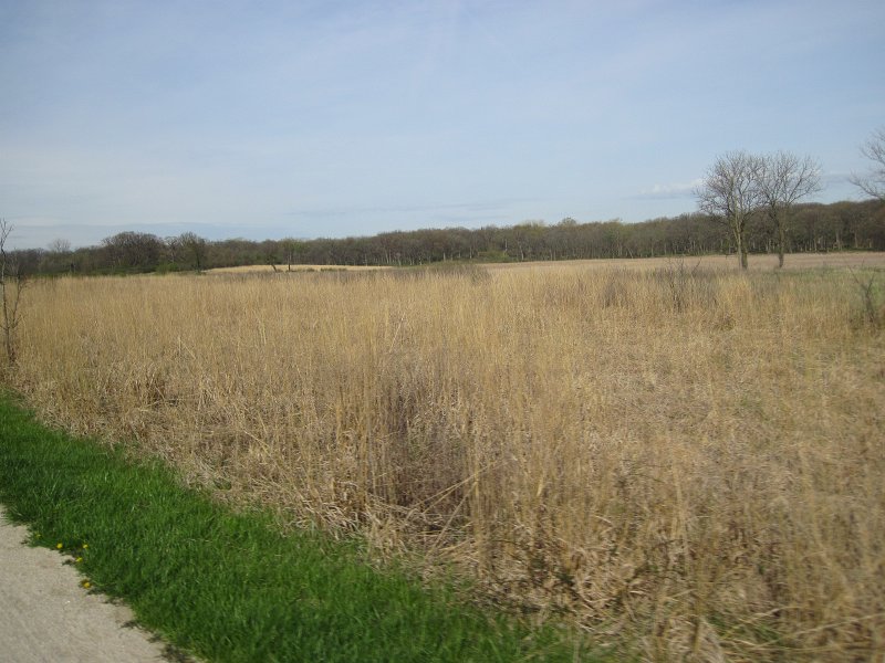Danada050513-5147.jpg - Prairie. Early morning bike at Danada
