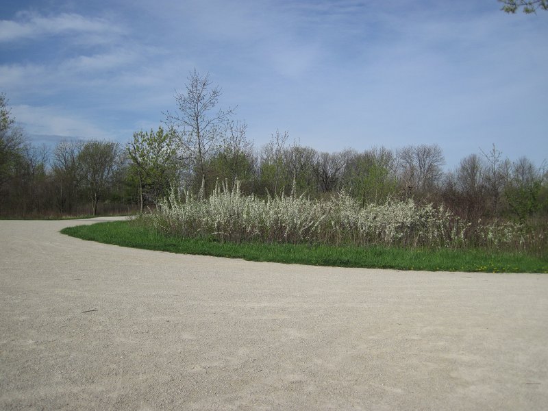 Danada050513-5153.jpg - Early morning bike at Danada