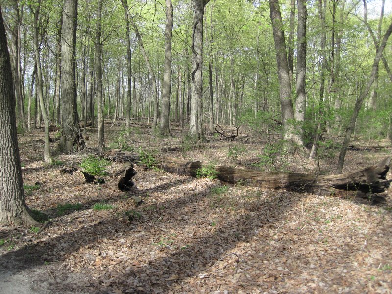 Danada050513-5162.jpg - Early morning bike at Danada