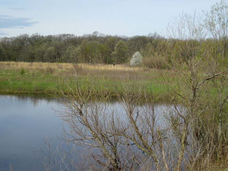 Danada050513-5164.jpg - Marsh area. Early morning bike at Danada