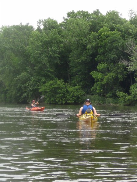 FoxRiverKayak061513-5392.jpg - Liz and Bin. Kayak Fox River Yorkville to Millington