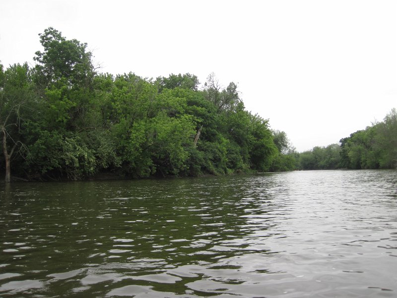 FoxRiverKayakRace060213-5318.jpg - Heading South on Fox River near Batavia's Red Oak Park. Mid-American Canoe & Kayak Race paddling from St Charles to Aurora