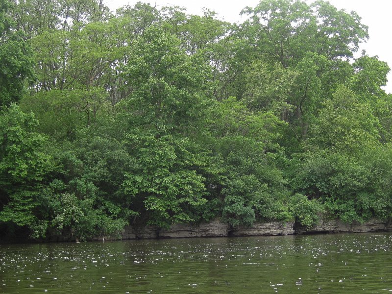 FoxRiverKayakRace060213-5321.jpg - Limestone Outcroppings at Fox River in Batavia near Red Oak Park and Fox Valley Country Club. Mid-American Canoe & Kayak Race paddling from St Charles to Aurora