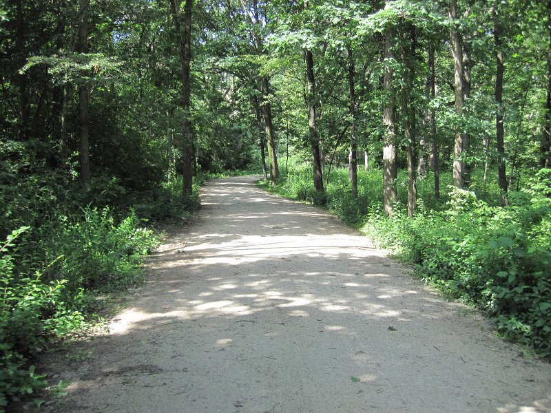Danada072113-5612.jpg - Bike ride through Danada Forest Preserve