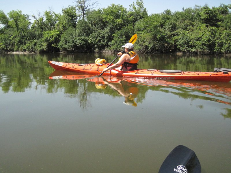 FoxRiverYorkvilleSilver072013-5584.jpg - Cathie. Kayaking the Fox River from Yorkville to Silver Springs State Park