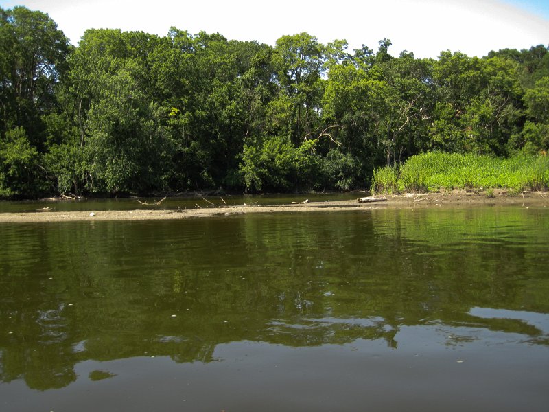 FoxRiverYorkvilleSilver072013-5588.jpg - The Fox River water level is very low today