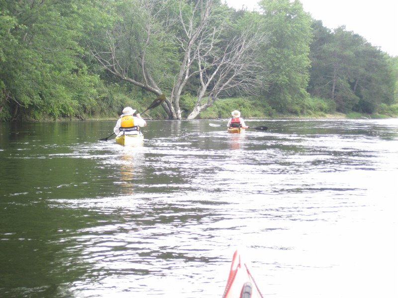 Maine090113-6033.jpg - Kayaking Androscoggin River from Shelburne to Bethel