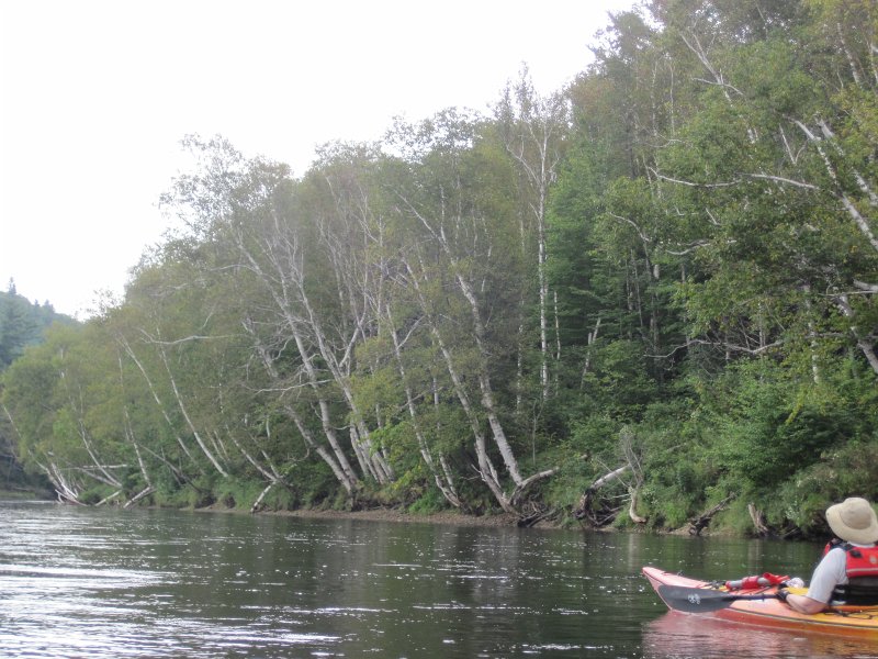 Maine090113-6041.jpg - Kayaking Androscoggin River from Shelburne to Bethel