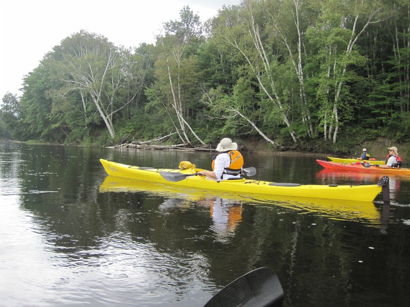Maine090113-6044.jpg - Kayaking Androscoggin River from Shelburne to Bethel