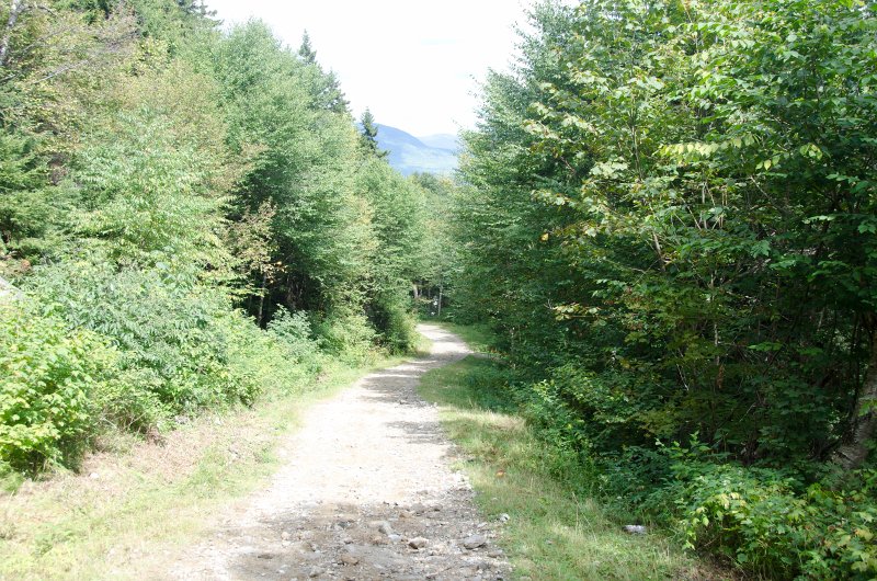 Maine090113-8258.jpg - Looking back, North, while walking south along Three Mile Trail to Barker Mountain, Sunday River