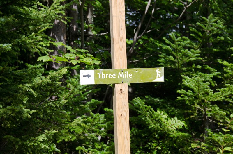 Maine090113-8272.jpg - Trail marker seen while walking south along Three Mile Trail to Barker Mountain, Sunday River
