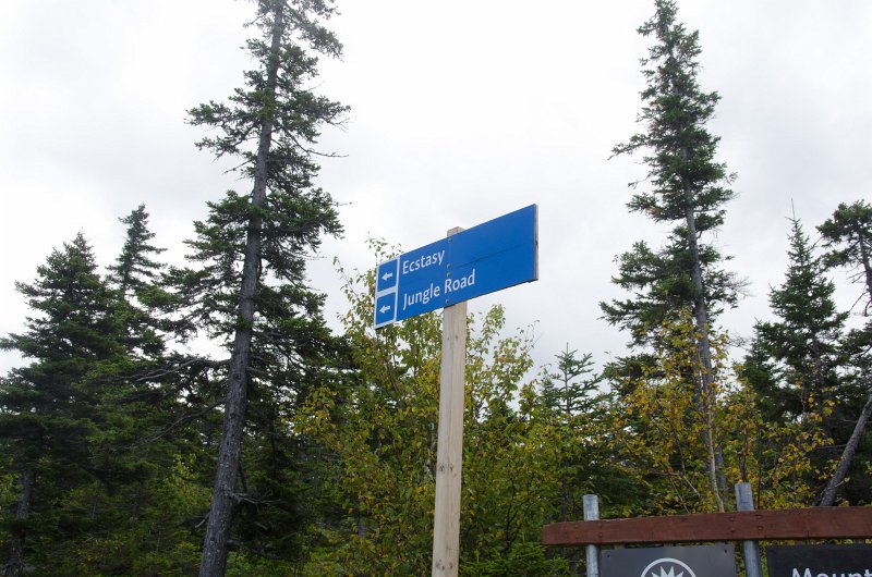 Maine090113-8280.jpg - Top of Barker Mountain, following the Three Mile Trail, the Ecstasy and Jungle Road Ski trails start nearby