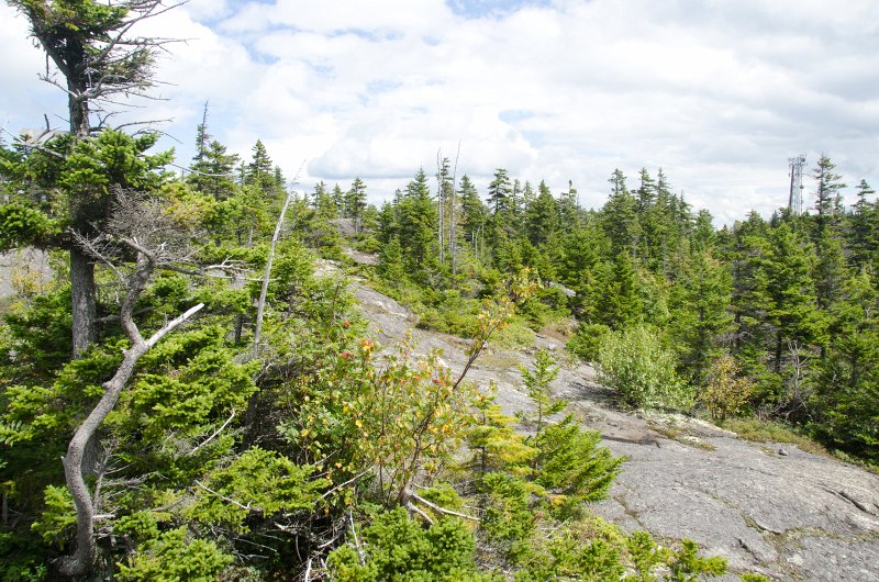 Maine090113-8309.jpg - Look-out point on the backside of Barker Mountain. Looking at the Cell Tower at the top of Locke Mountain, our destination.