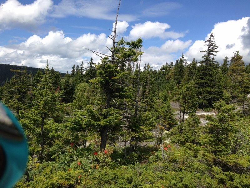 Maine090113-0004.jpg - Hiking Three Mile Trail, Barker Mountain, Sunday River, Maine