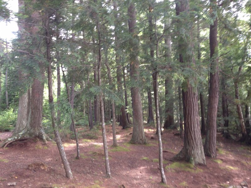 Maine090113-0037.jpg - Lunch at campsite No 5 on the Big Island while ayaking  Umbagog, Lake