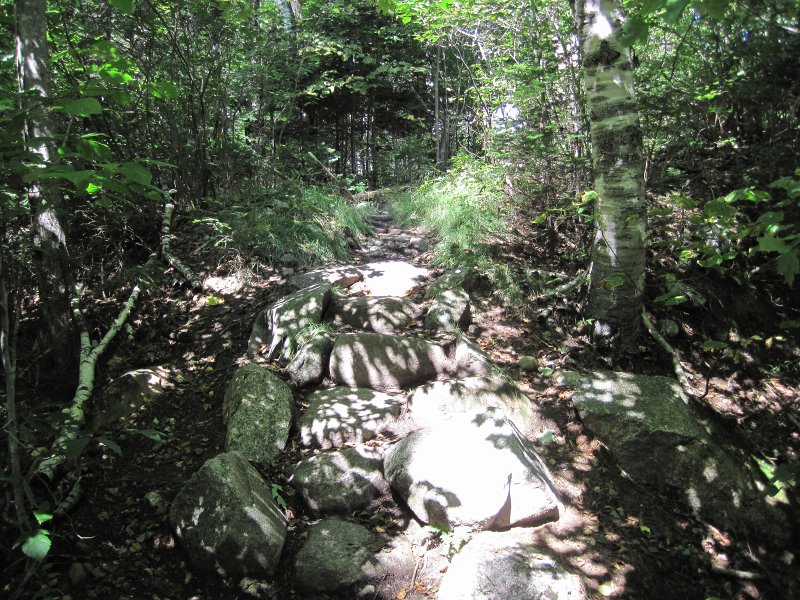 Maine090113-6111.jpg - State Park Trail. Appalachian Trail at Graphton Notch State Park