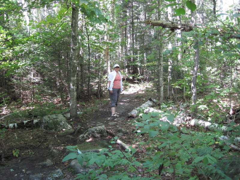 Maine090113-6112.jpg - State Park Trail. Appalachian Trail at Graphton Notch State Park