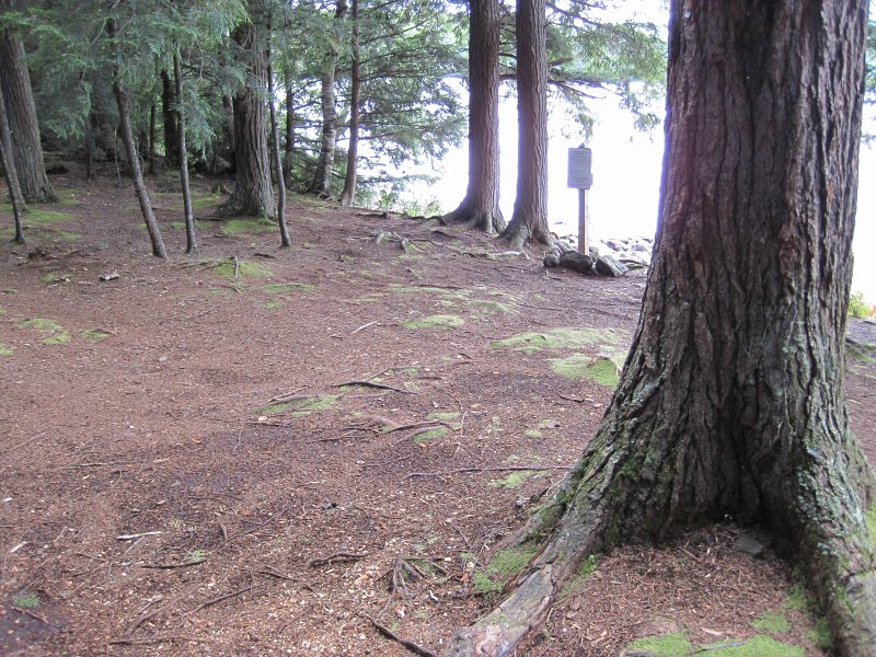 Maine090113-6150.jpg - We ate lunch at Umbagog Lake Campground No 5, Big Island