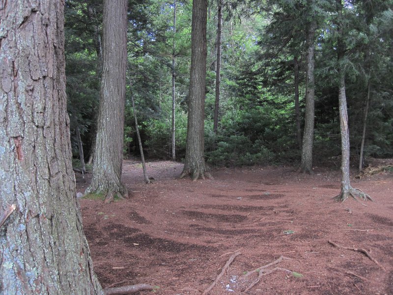 Maine090113-6151.jpg - We ate lunch at Umbagog Lake Campground No 5, Big Island