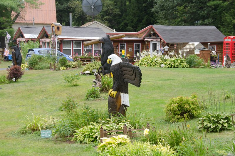 Maine090113-8189.jpg - I Fought The Lawn and The Lawn Won