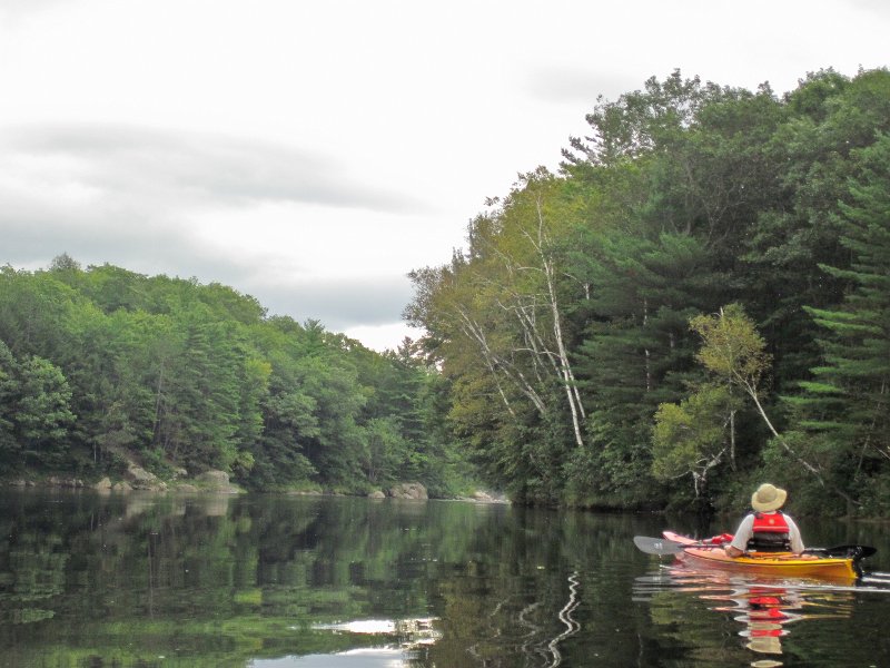 Maine090113-6063.jpg - Leslie looking at the birch trees. Kayaking Androscoggin River from Shelburne to Bethel