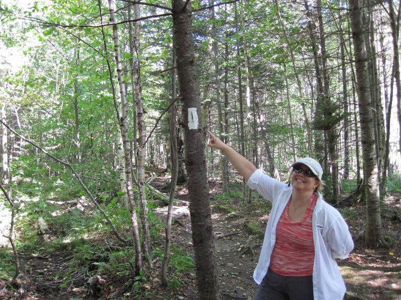 Maine090113-6117.jpg - Appalachian Trail at Graphton Notch State Park