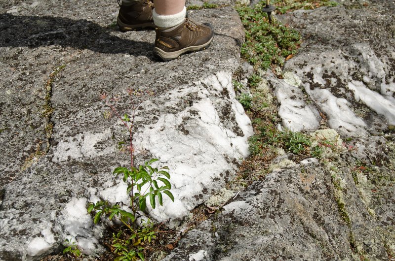 Maine090113-8300.jpg - Interesting rock formations at the look-out point on the backside of Barker Mountain facing west toward New Hampshire and Mount Washington