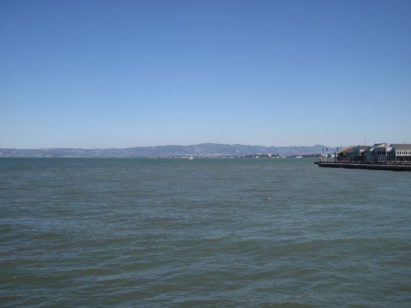 SanFrancisco100313-6313.jpg - Sea Lions. Sausalito Ferry to San Francisco